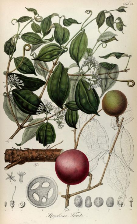 286649d8ca83c5a96d6a06003fe6f499