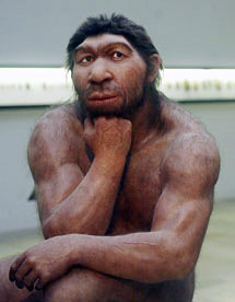 neandertal-et-sapiens-ancetre-commun