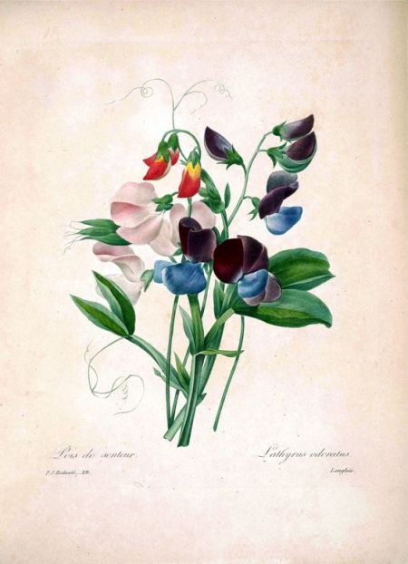 4c69a6039349a55ce24d4a66aef25a98