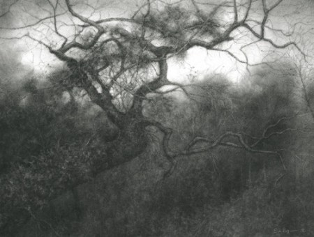 tumblr_nte3vwgY801s5mr8xo1_500