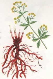 59f721694fa87_20f4e6c20497b0d2788463b5baeae54e