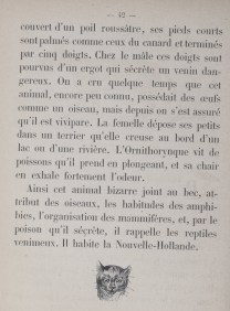 Le_livre_des_petits_enfants_[...]Doudet_Mme_bpt6k64257651 (1)