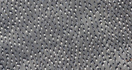 040418_DG_penguin_feat